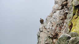 Alle [Motorrad] Reisen &raquo; 2023 Extremadura Rundreise